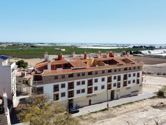 Apartment - Nouvelle construction - Avileses - VHRSP-57514
