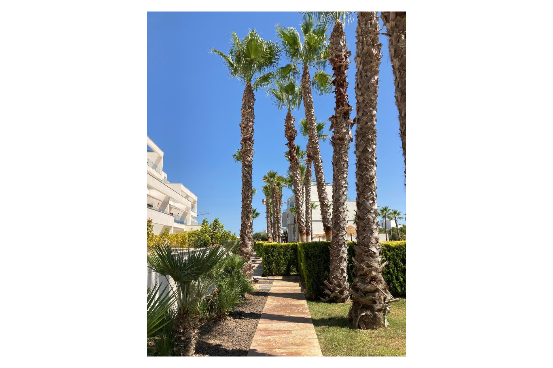 Herverkoop - Apartment - Orihuela - Las Colinas Golf