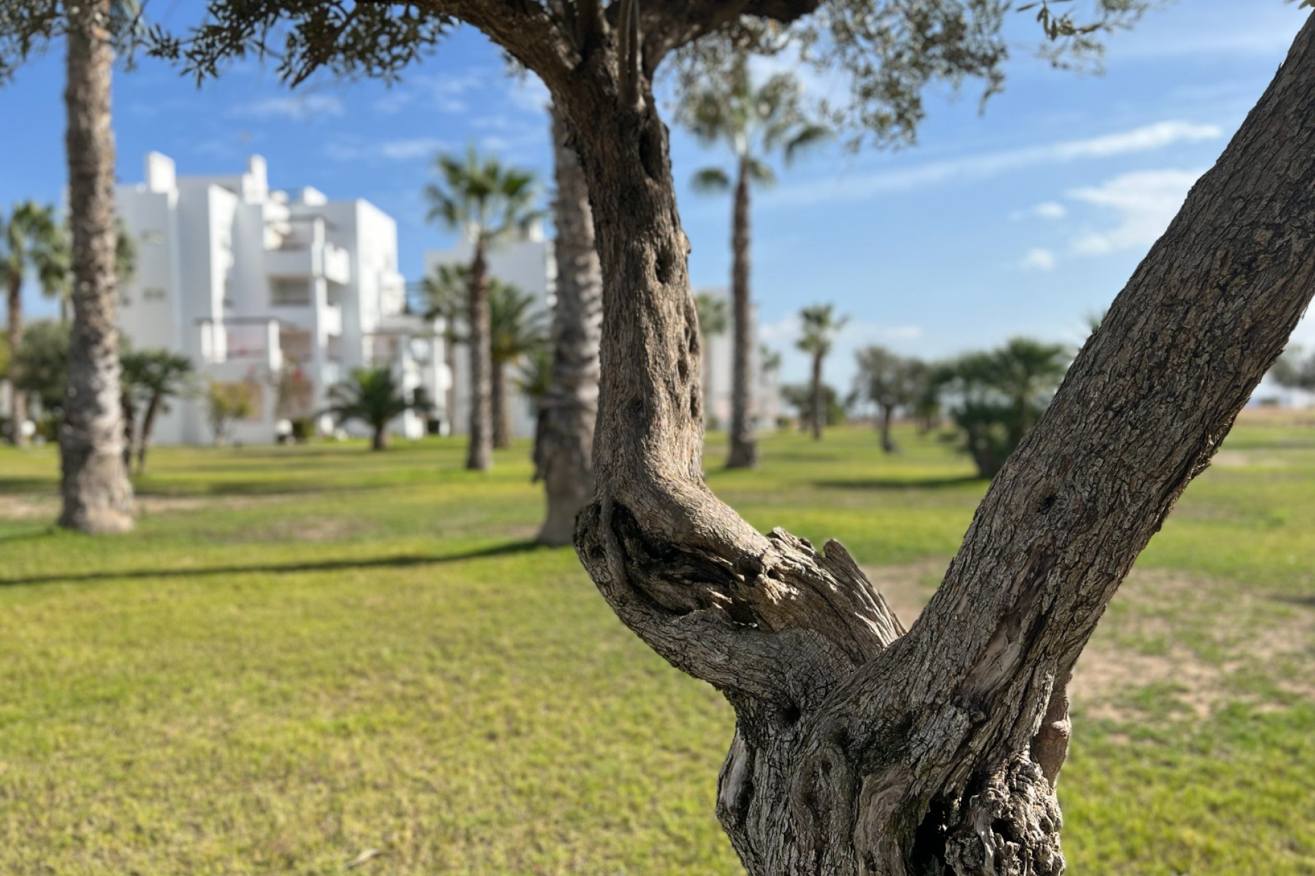 Herverkoop - Apartment - Torre Pacheco - Roldán