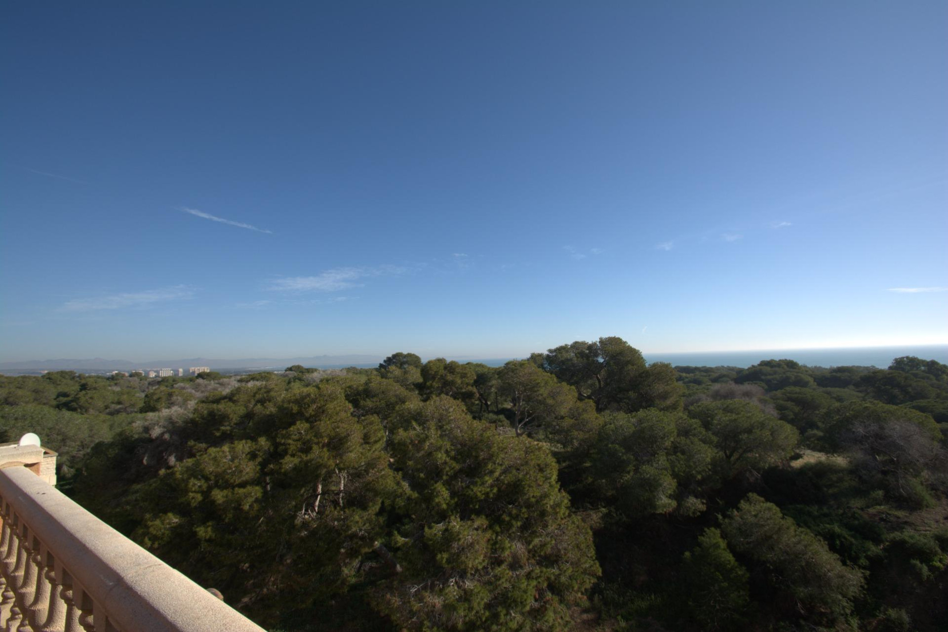 New Build - Apartment - Guardamar del Segura - Pueblo