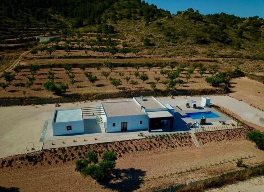 New Build - Villa - Jumilla - Torre del Rico