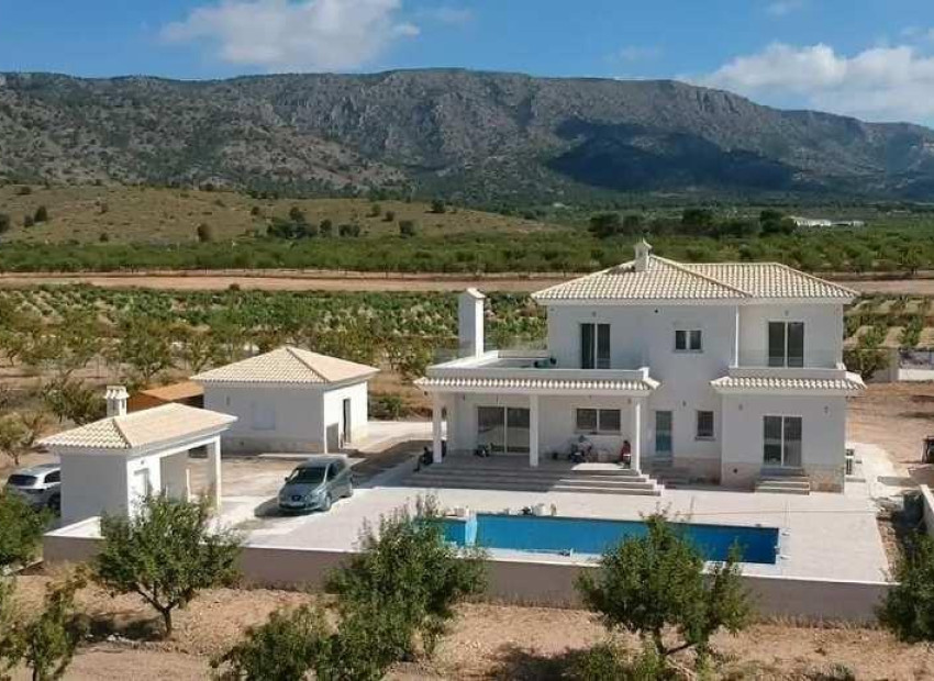 New Build - Villa - Pinoso - Camino Del Prado