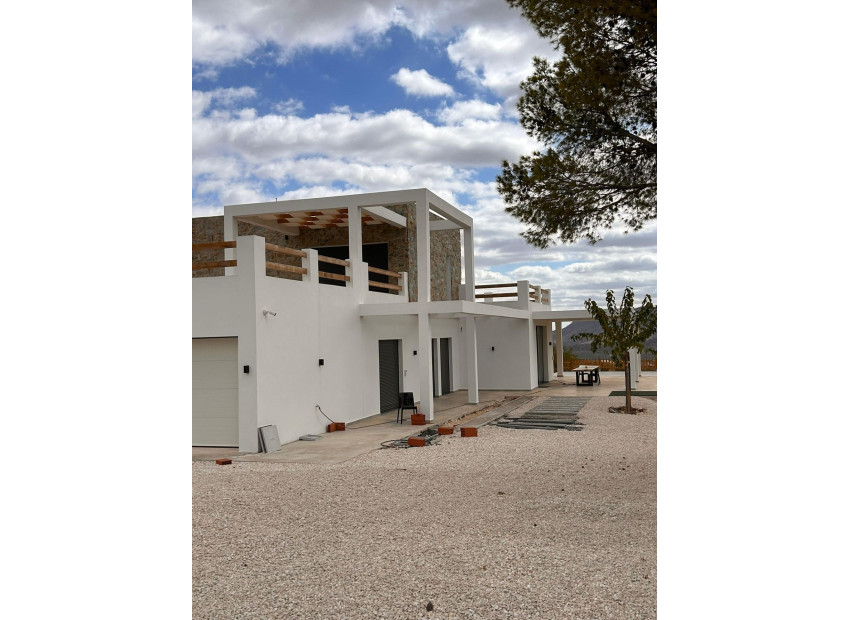 New Build - Villa - Pinoso - Casas Pastor