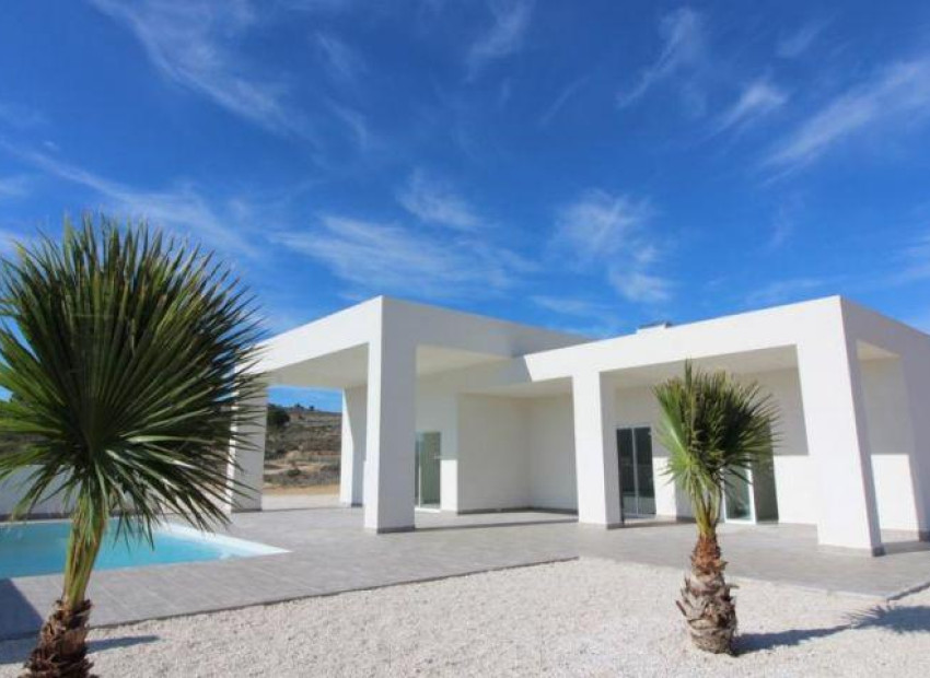 New Build - Villa - Pinoso - Centro