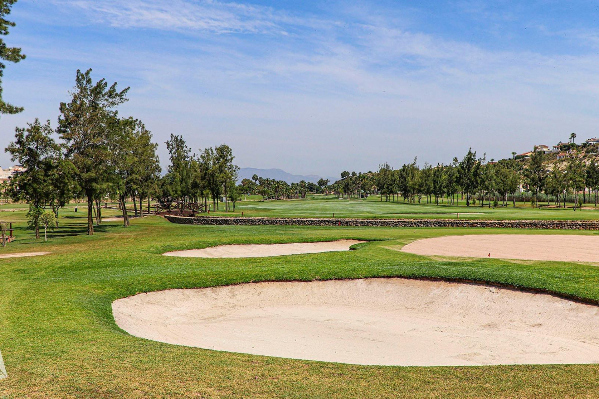 New Build - Villa - Rojales - Ciudad Quesada