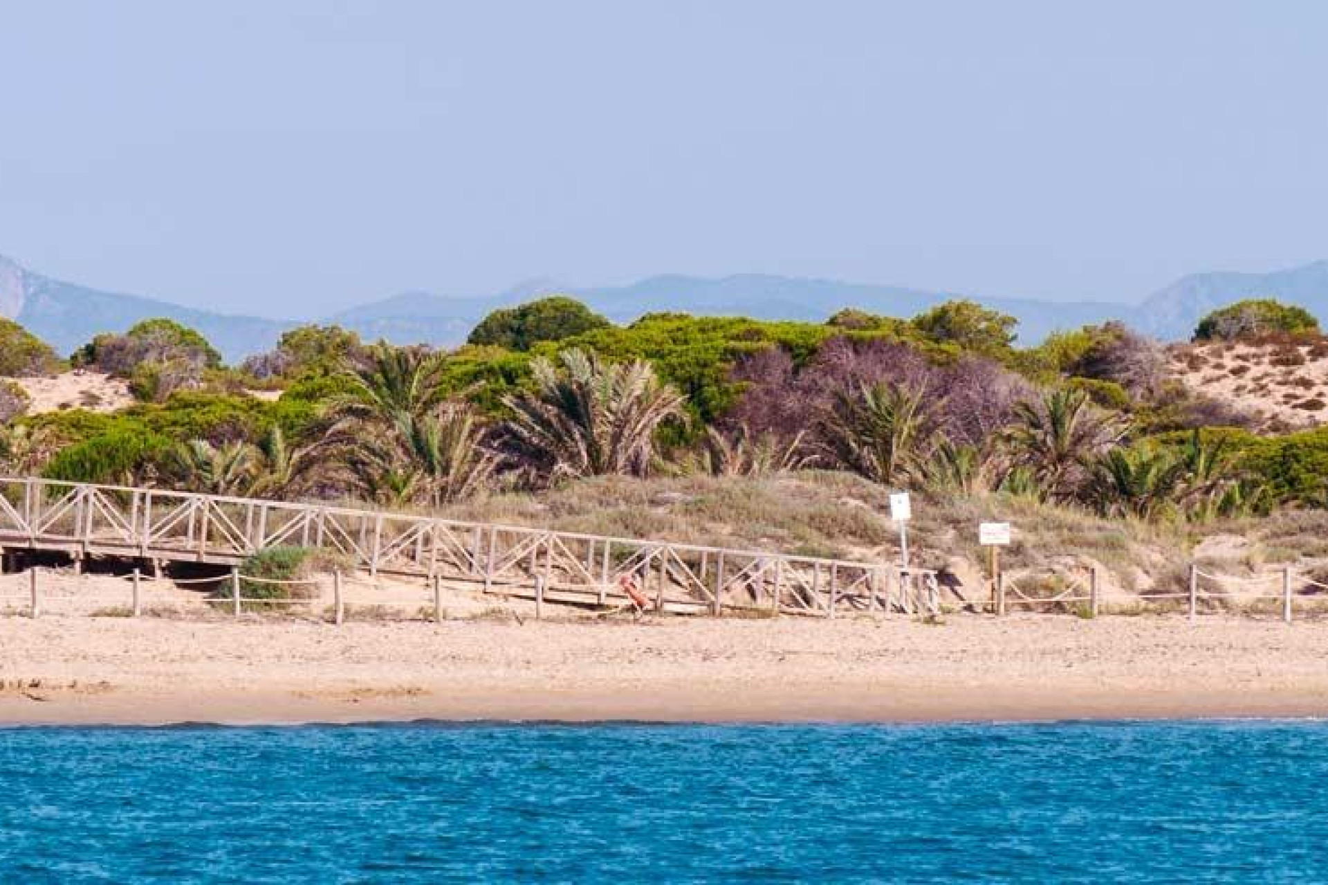 Nieuwbouw Woningen - Apartment - Guardamar del Segura - Pueblo