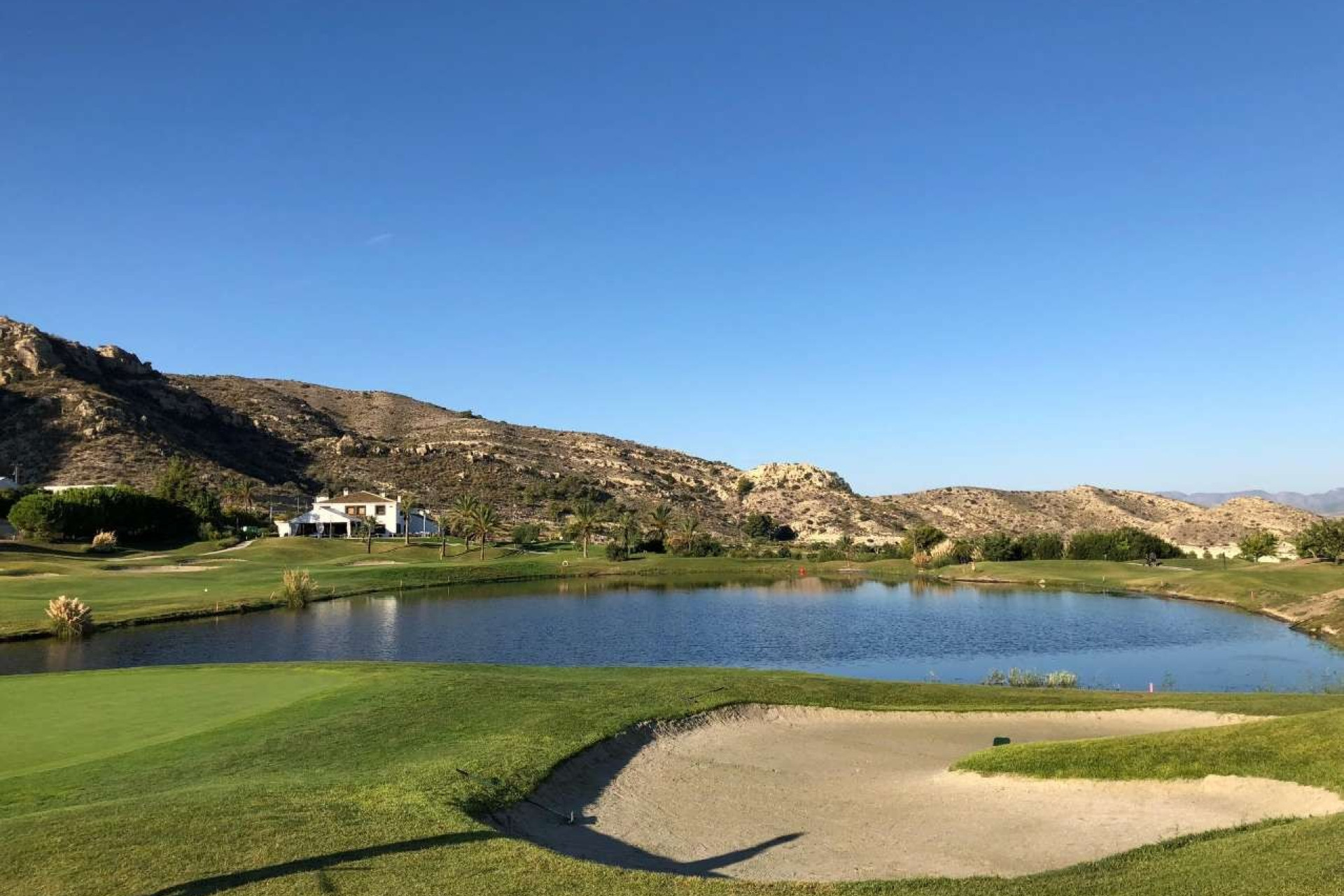 Nieuwbouw Woningen - Semi-Detached Villa - Monforte del Cid - Font del Llop