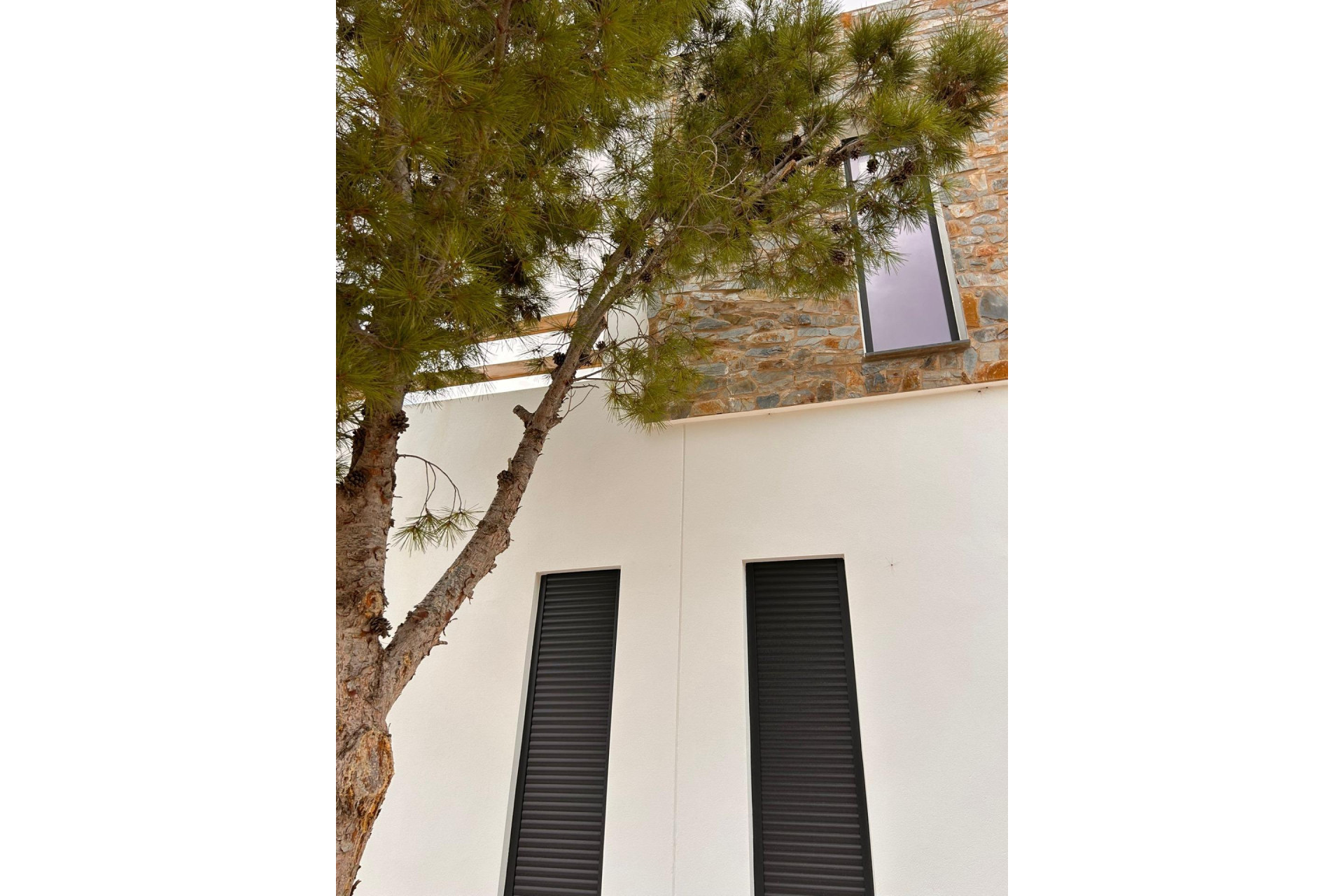 Nieuwbouw Woningen - Villa - Pinoso - Casas Pastor