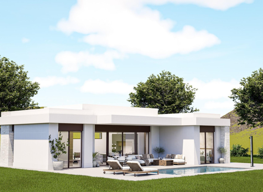 Nieuwbouw Woningen - Villa - Pinoso - Lel