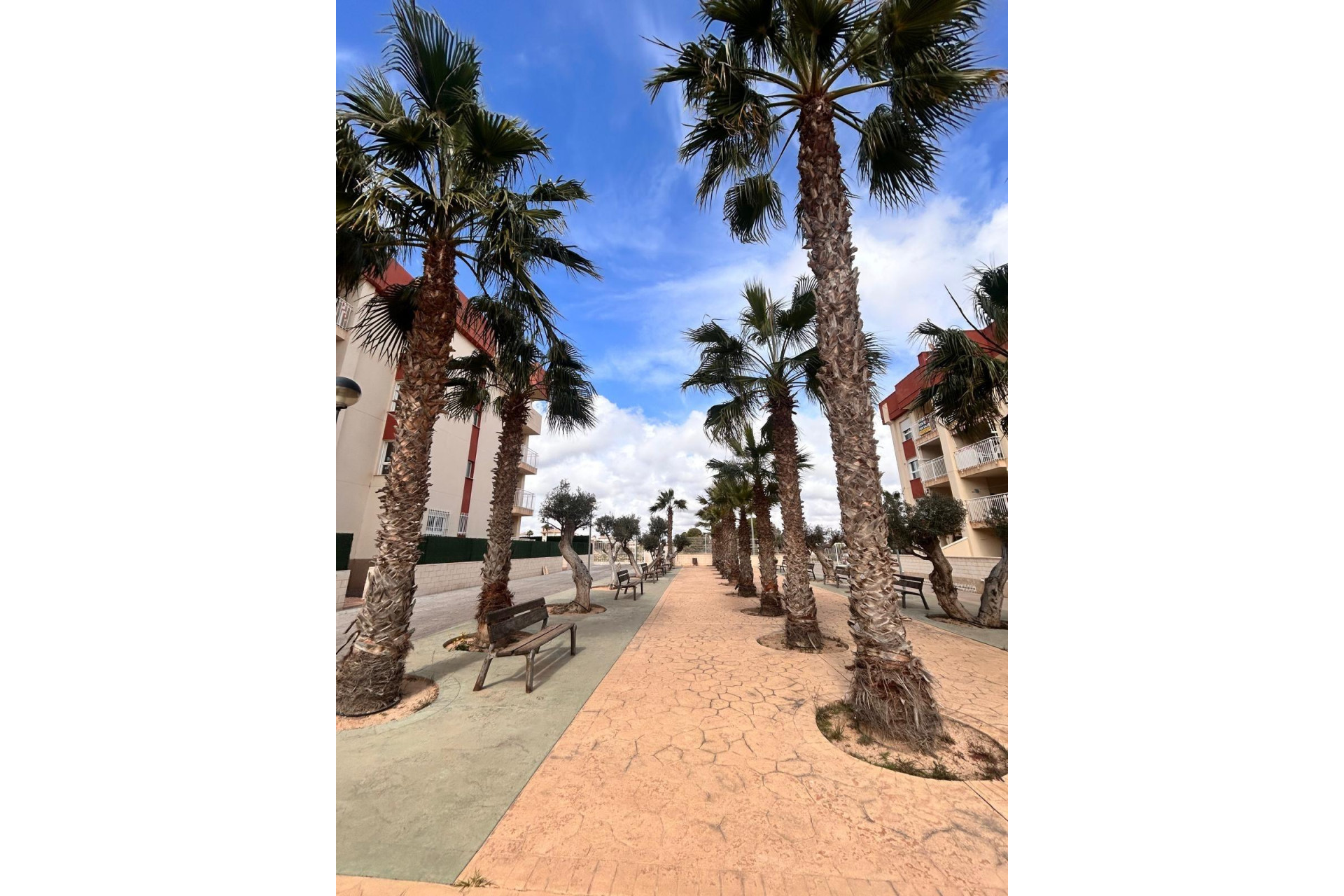 Nouvelle construction - Attique - Orihuela Costa - Lomas de Cabo Roig