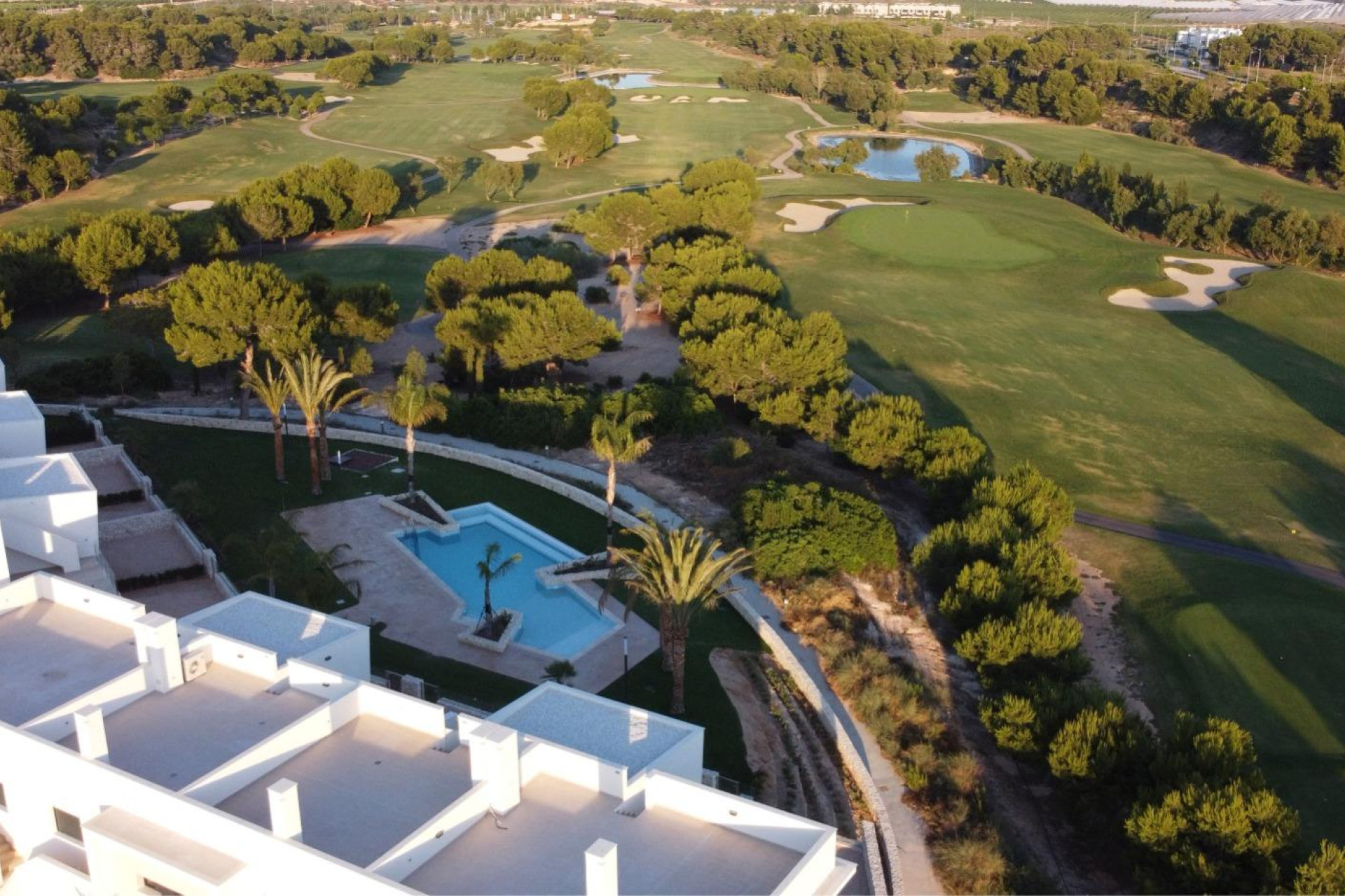 Nouvelle construction - Attique - Pilar de la Horadada - Lo Romero Golf