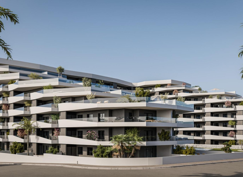 Nouvelle construction - Attique - San Miguel de Salinas - Pueblo
