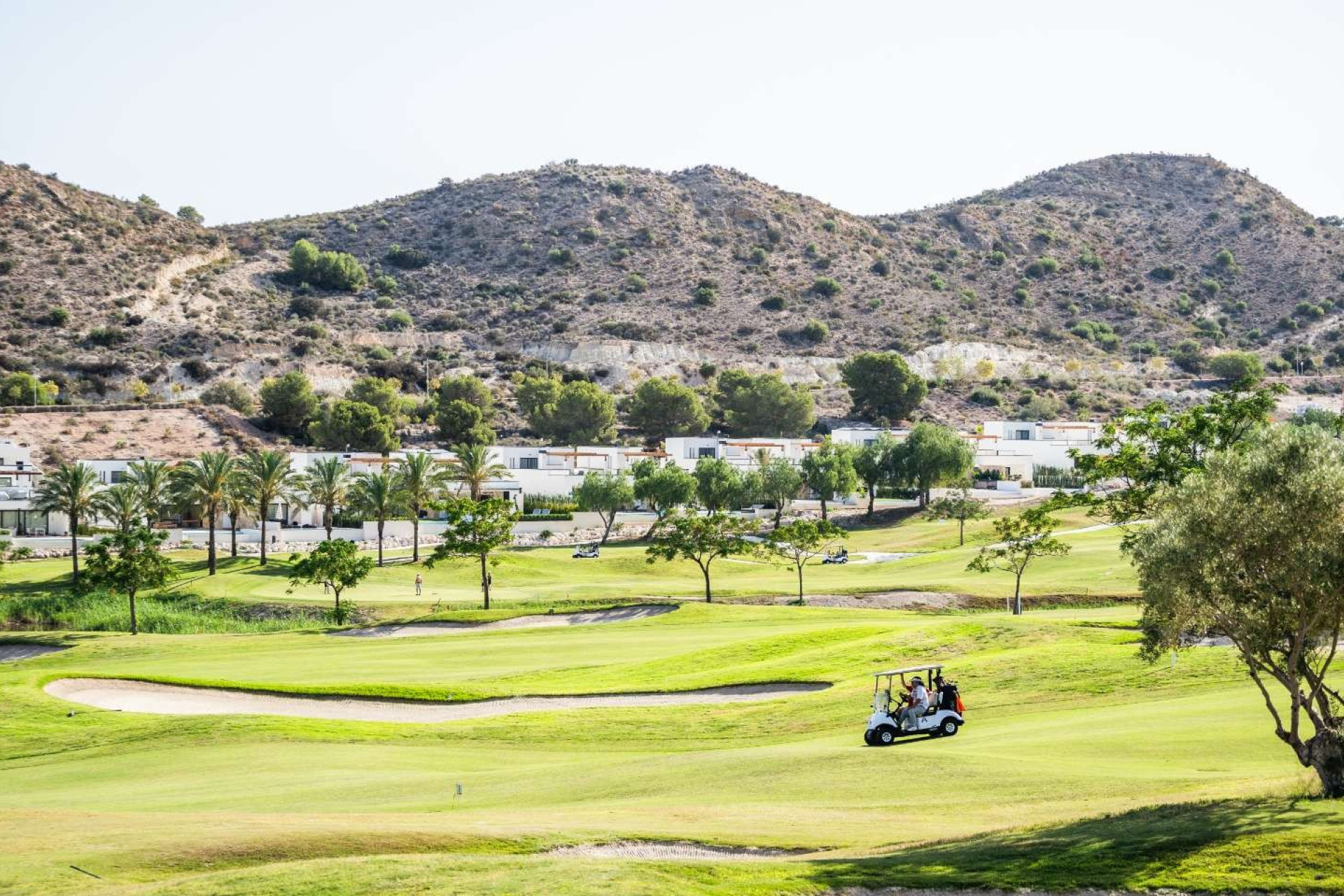 Nouvelle construction - Semi-Detached Villa - Monforte del Cid - Font del Llop