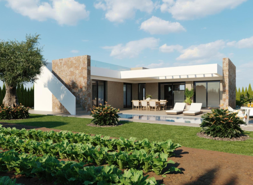 Nouvelle construction - Villa - Fuente Álamo - Hacienda del Alamo
