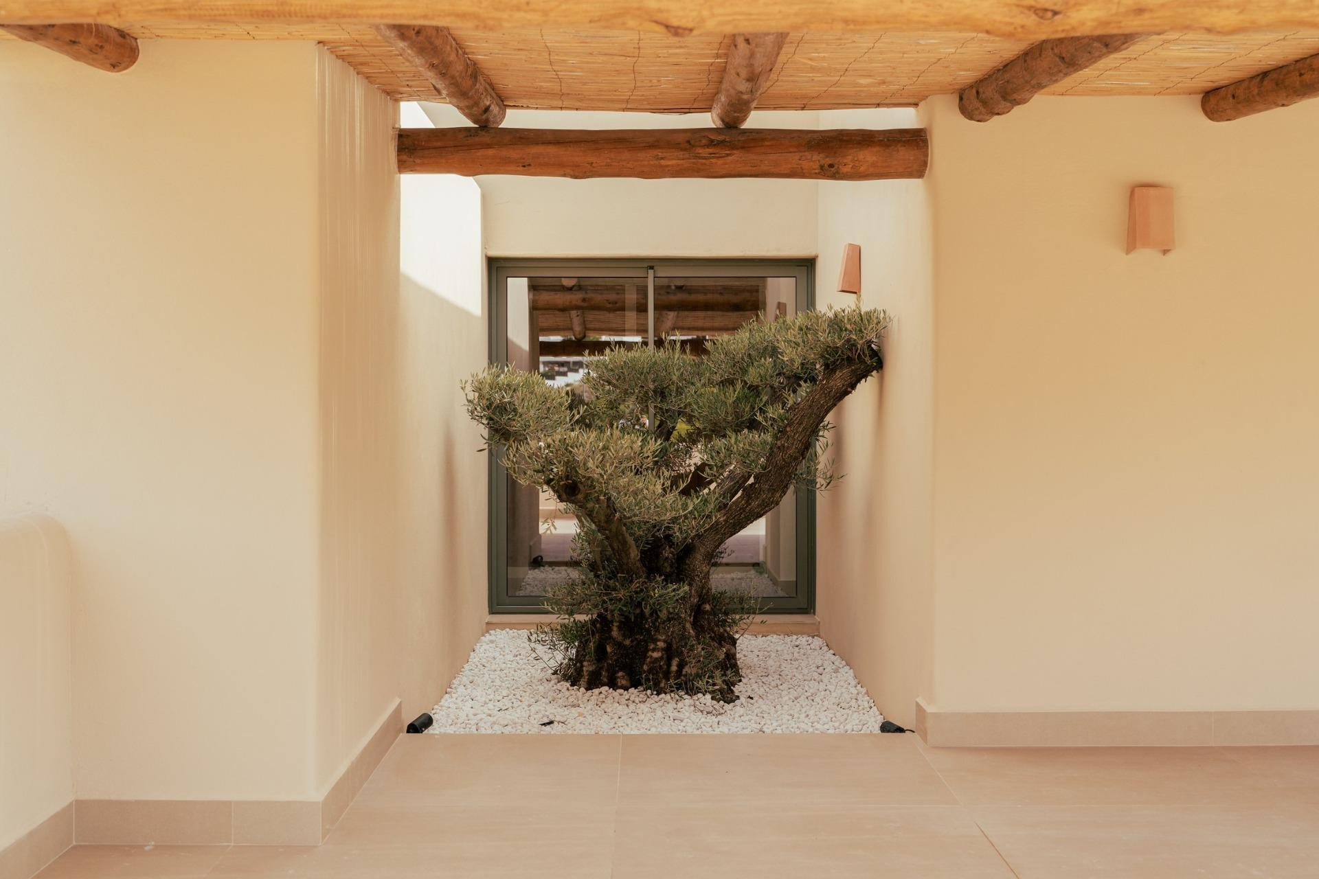 Nouvelle construction - Villa - Jávea Xàbia - Valle del Sol