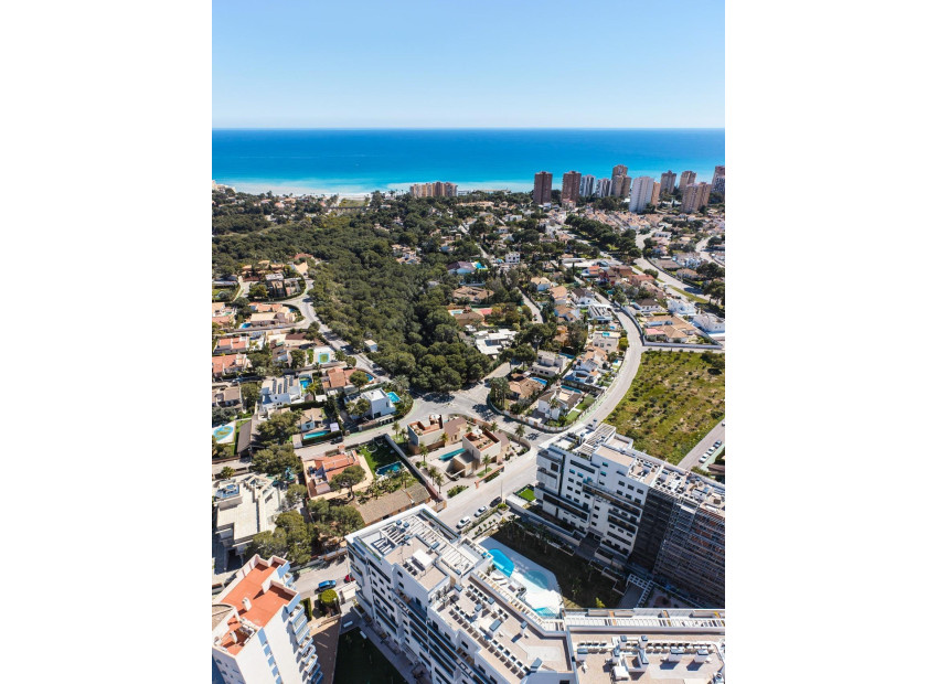 Nouvelle construction - Villa - Orihuela Costa - Dehesa de campoamor