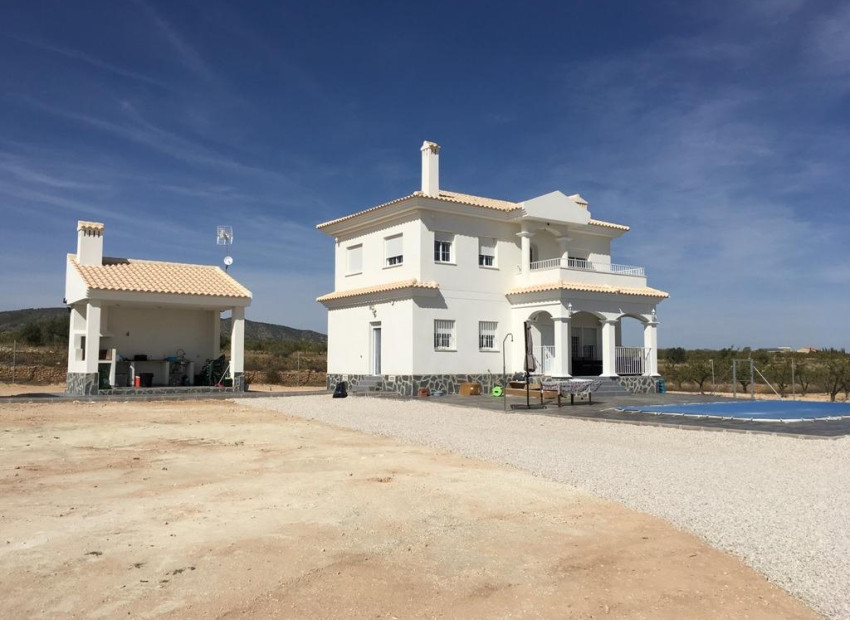 Nouvelle construction - Villa - Pinoso - Camino Del Prado