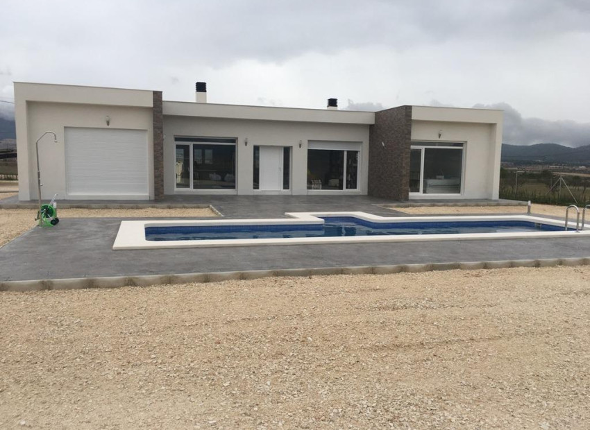 Nouvelle construction - Villa - Pinoso - Camino Del Prado