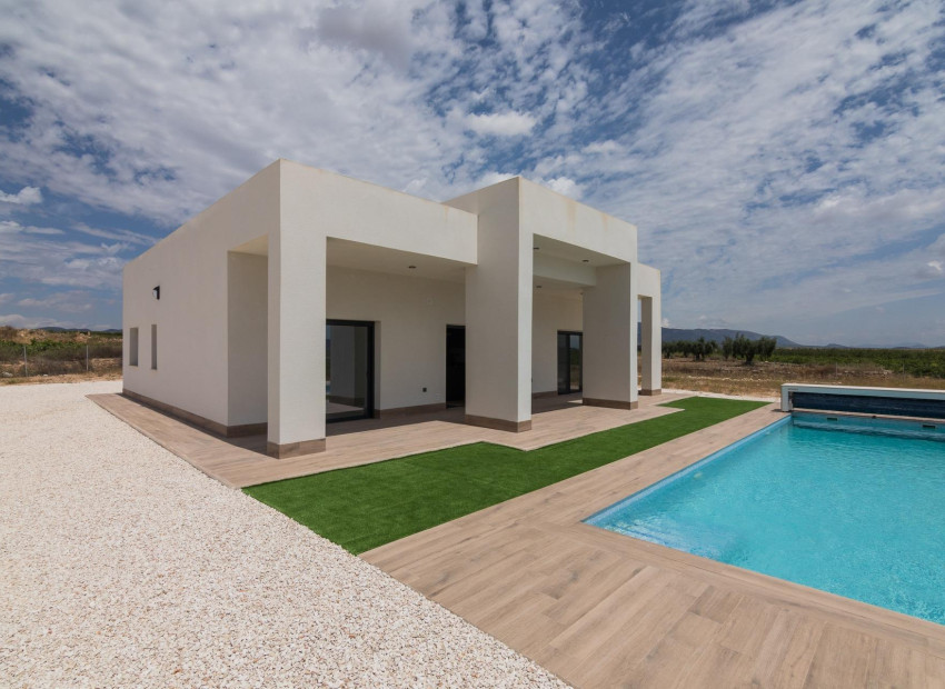 Nouvelle construction - Villa - Pinoso - Campo