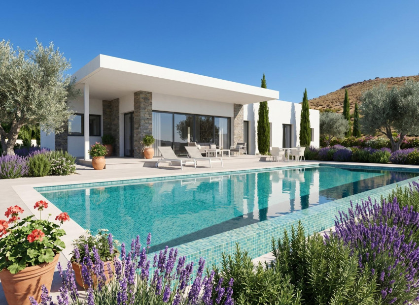 Nouvelle construction - Villa - Pinoso - Casas Pastor