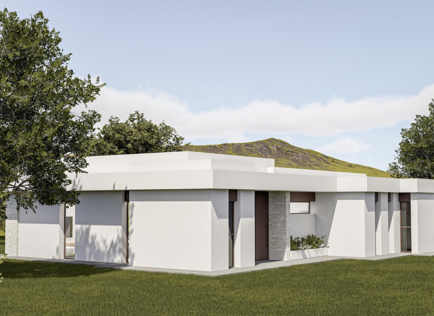Nouvelle construction - Villa - Pinoso - Lel