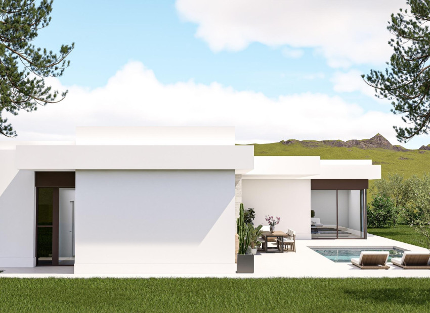 Nouvelle construction - Villa - Pinoso - Lel