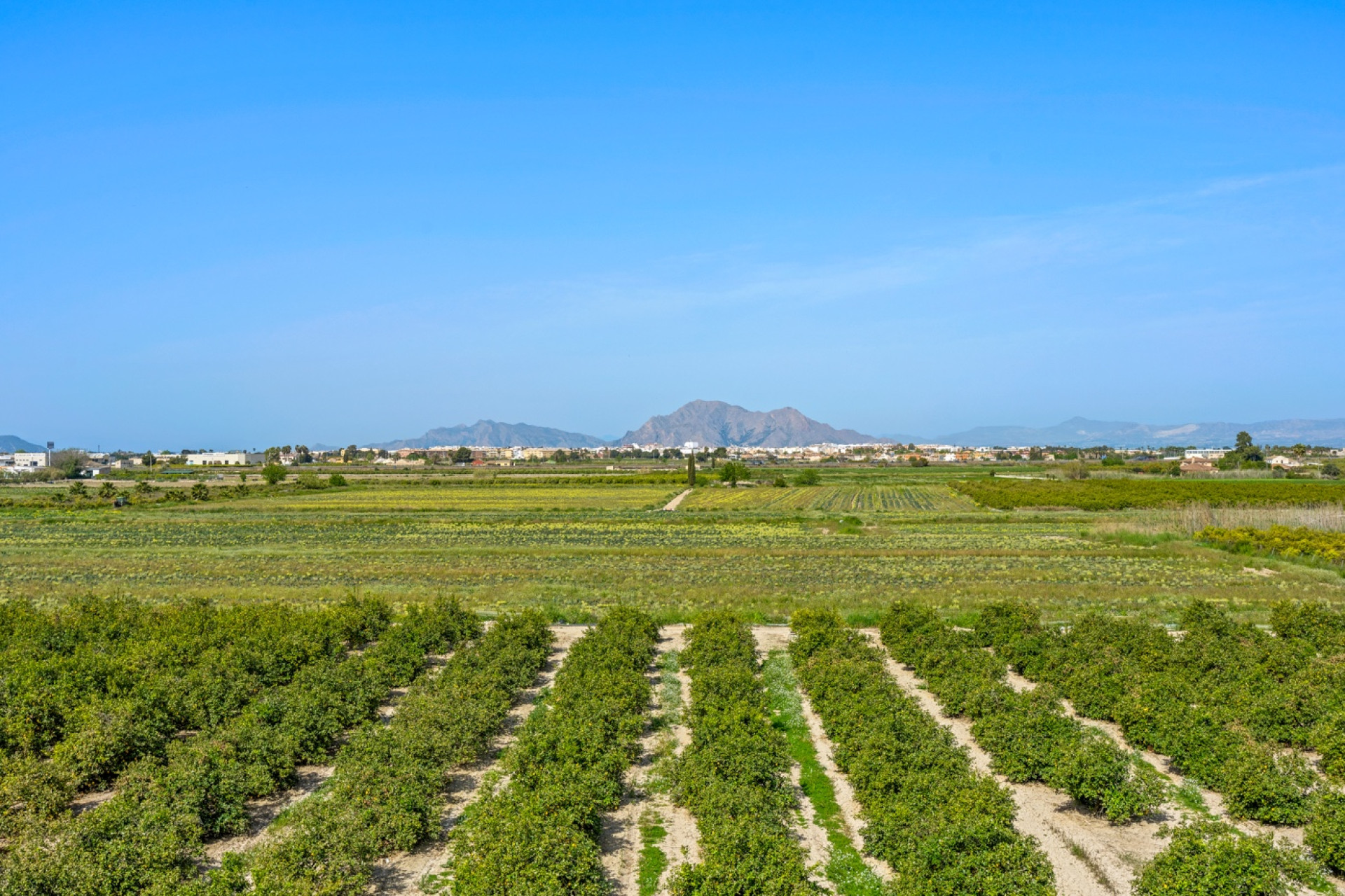 Resale - 1. Apartment / flat - Daya Nueva - Costa Blanca South