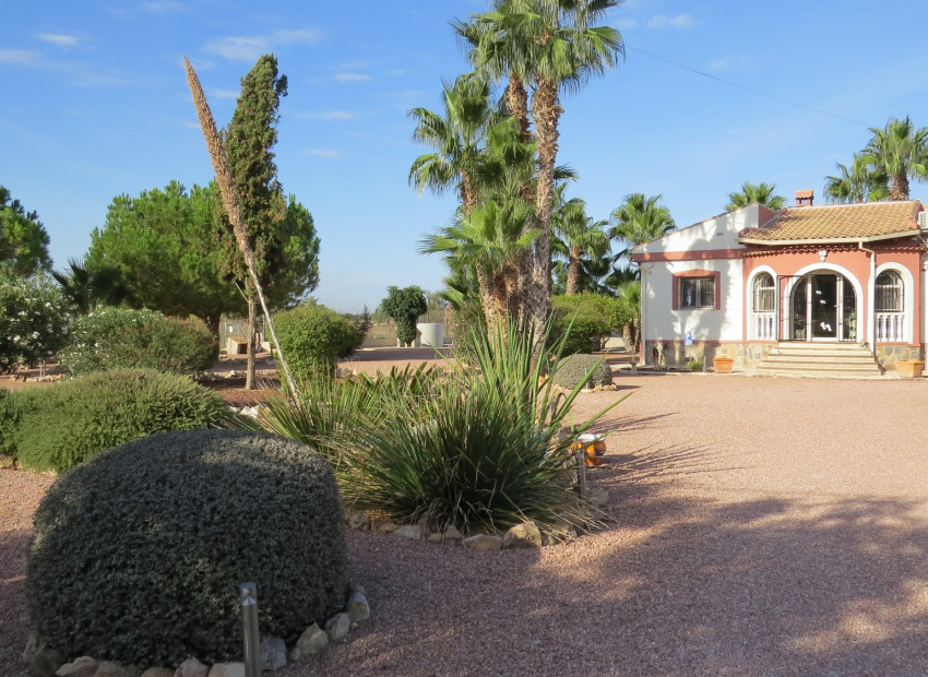 Revente - Finca / Country Property - Daya Vieja