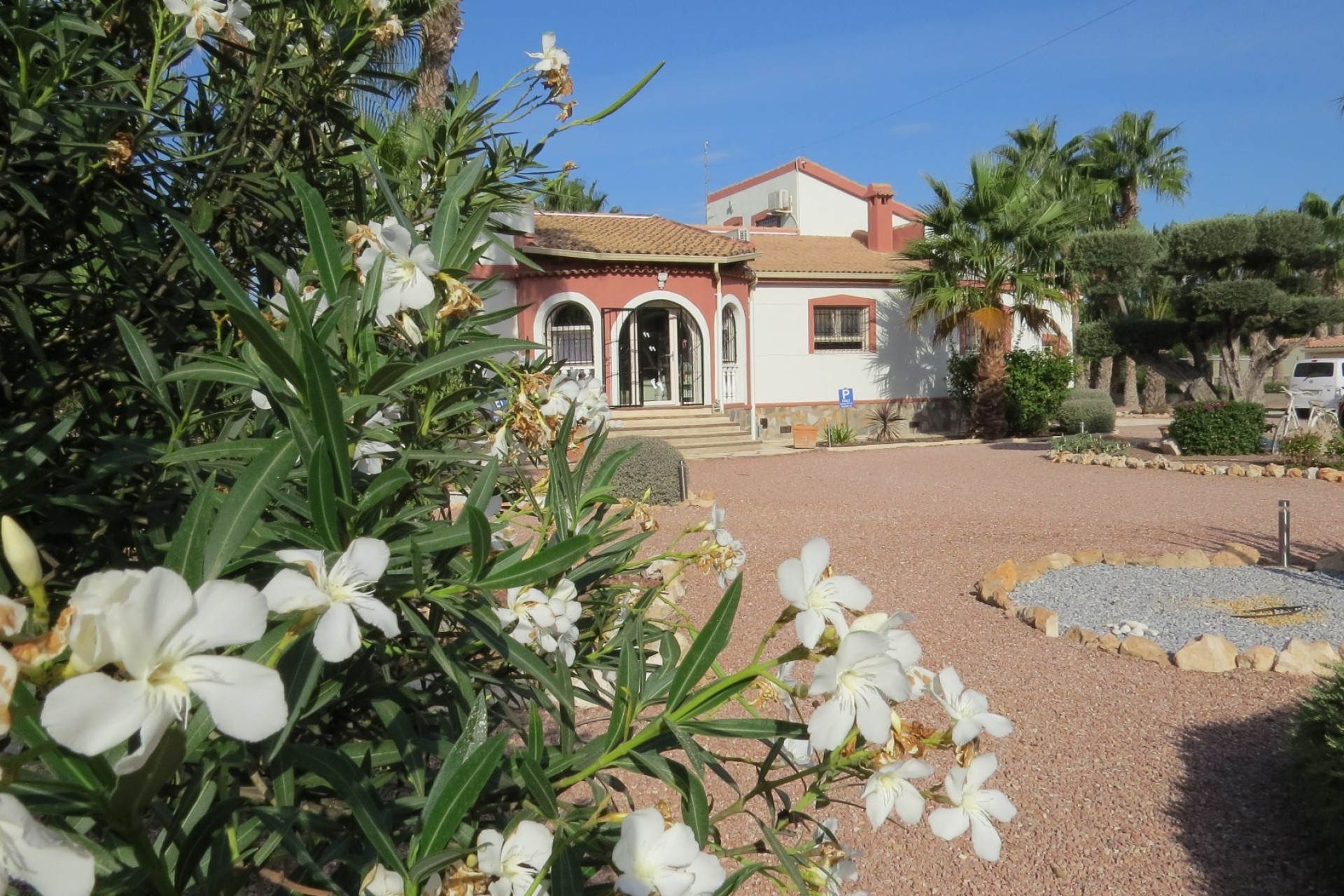 Revente - Finca / Country Property - Daya Vieja