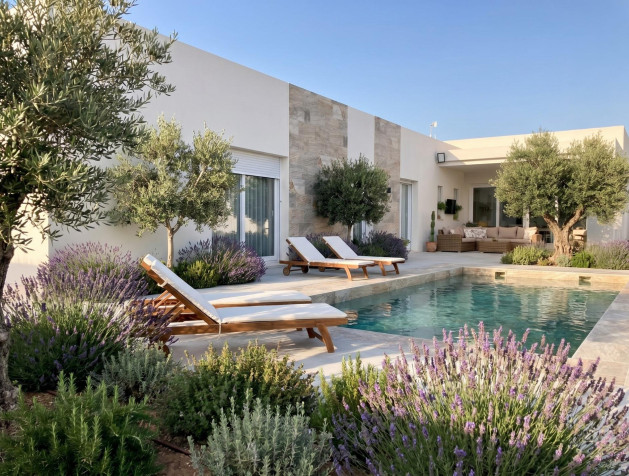 Villa - New Build - Pinoso - Casas Pastor