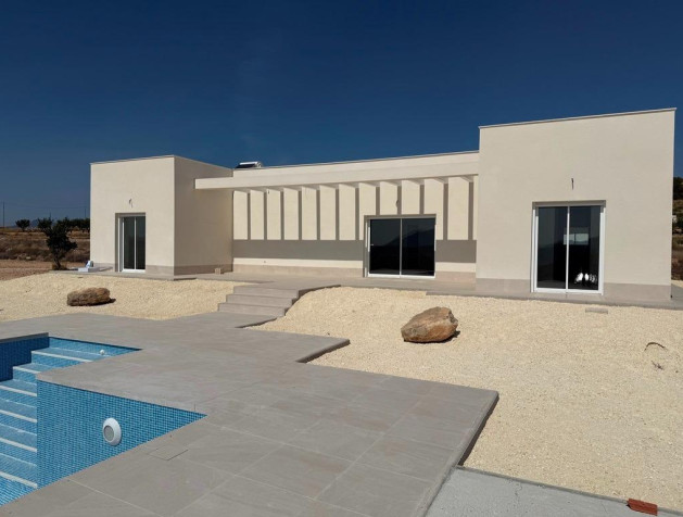 Villa - New Build - Pinoso - VHRSP-54047