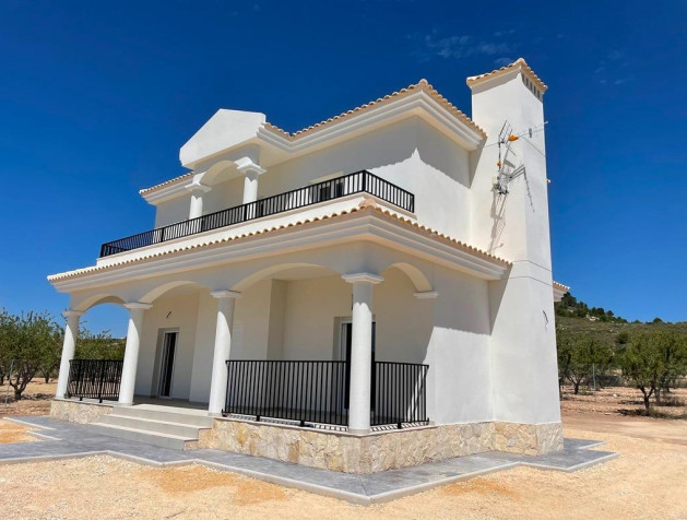 New Build - Villa - Pinoso - Camino Del Prado