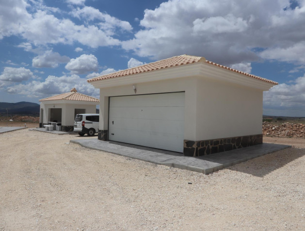 Nouvelle construction - Villa - Pinoso - Camino Del Prado