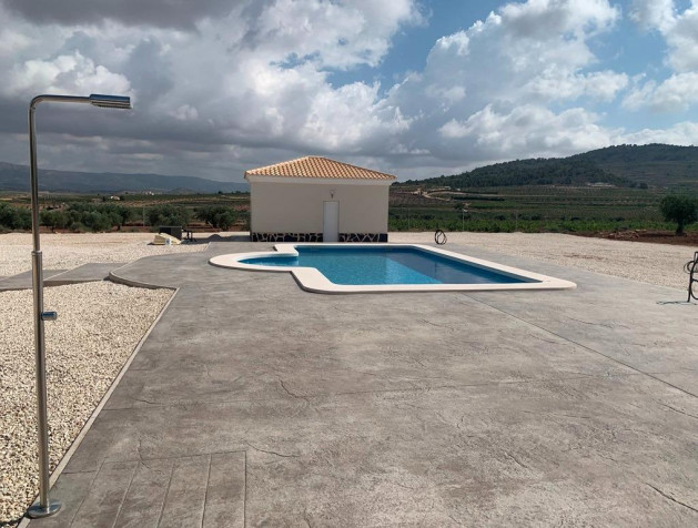 New Build - Villa - Pinoso - Camino Del Prado