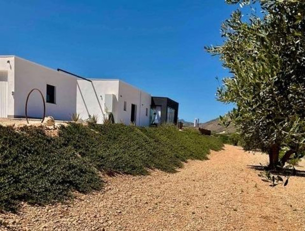 New Build - Villa - Jumilla - Torre del Rico