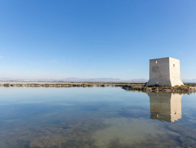 Nieuwbouw Woningen - Penthouse - Santa Pola - Eroski