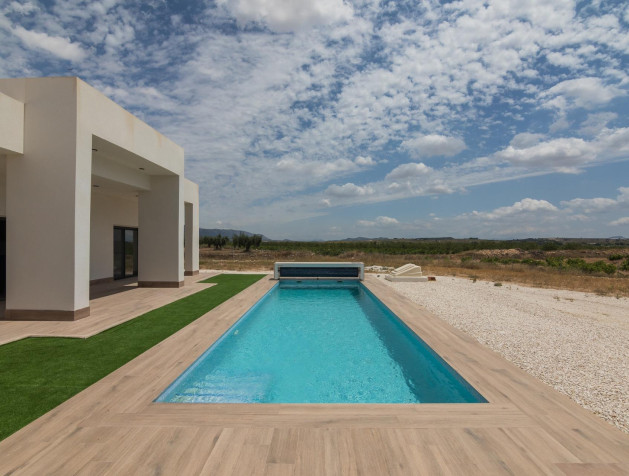 New Build - Villa - Pinoso - Campo