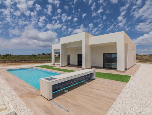 Nouvelle construction - Villa - Pinoso - Campo