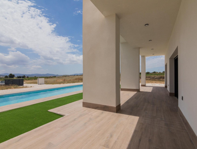 New Build - Villa - Pinoso - Campo