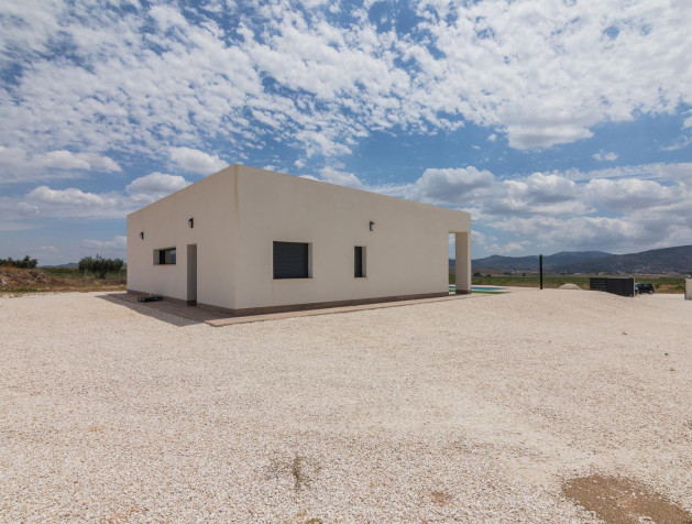 New Build - Villa - Pinoso - Campo