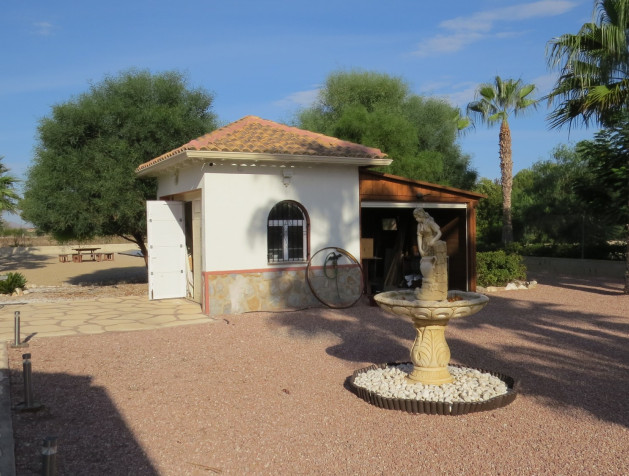 Revente - Finca / Country Property - Daya Vieja