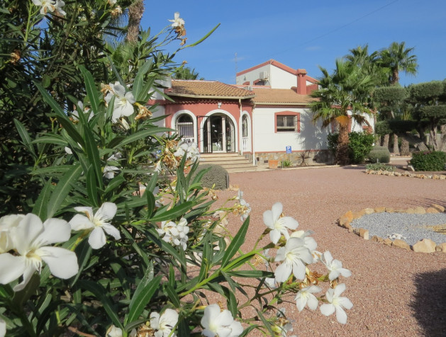 Revente - Finca / Country Property - Daya Vieja