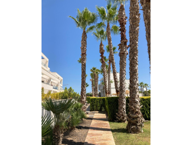 Herverkoop - Apartment - Orihuela - Las Colinas Golf