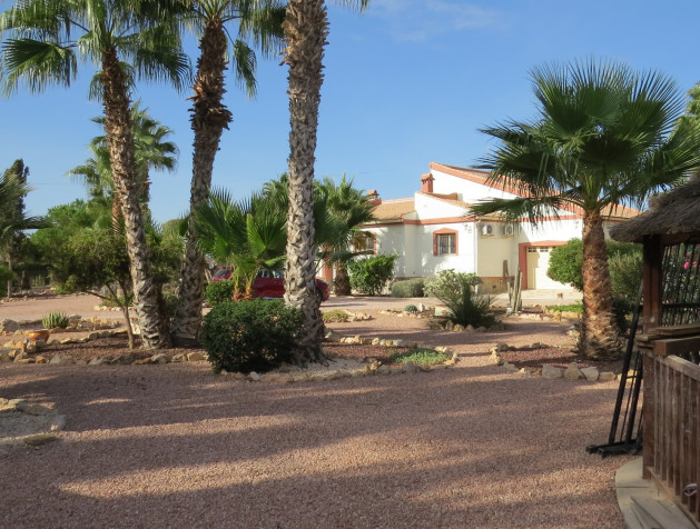 Revente - Finca / Country Property - Daya Vieja