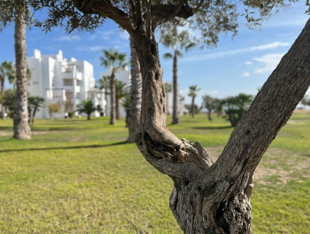 Herverkoop - Apartment - Torre Pacheco - Roldán