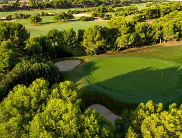 New Build - Villa - Pilar de la Horadada - Lo Romero Golf