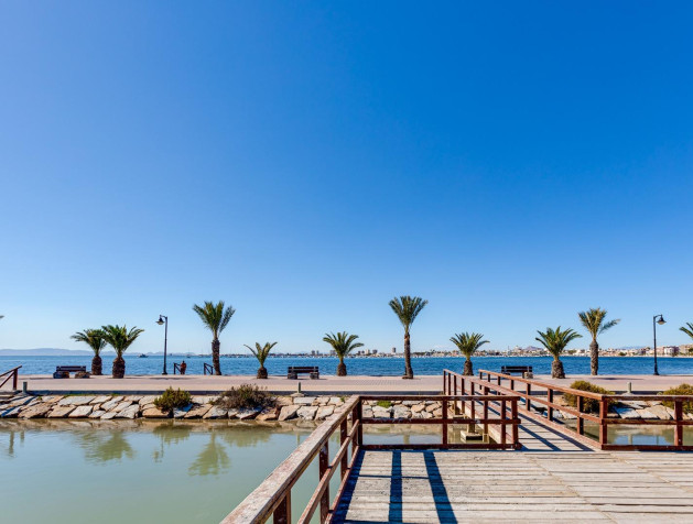 New Build - Villa - Pilar de la Horadada