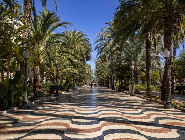 Nouvelle construction - Attique - Alicante - Centro