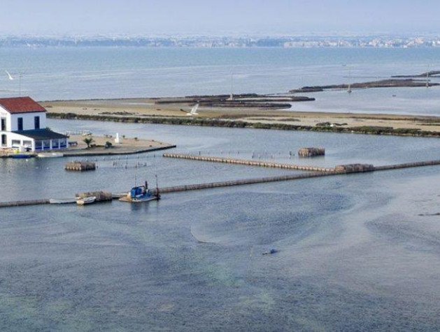 New Build - Villa - San Pedro del Pinatar - Centro