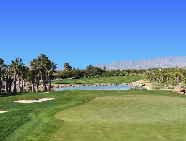 Nieuwbouw Woningen - Villa - Cuevas del Almanzora - Villaricos